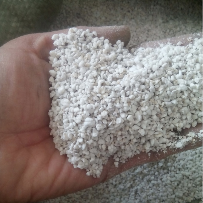 珍珠岩可以培育水稻你造吗？